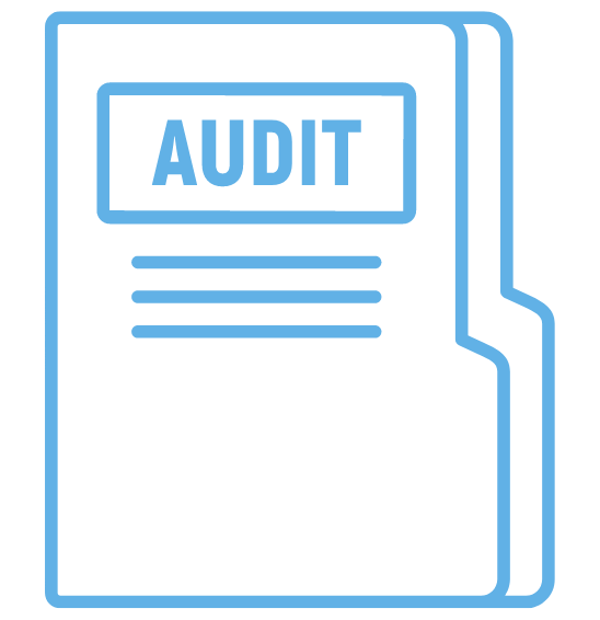 Audit management